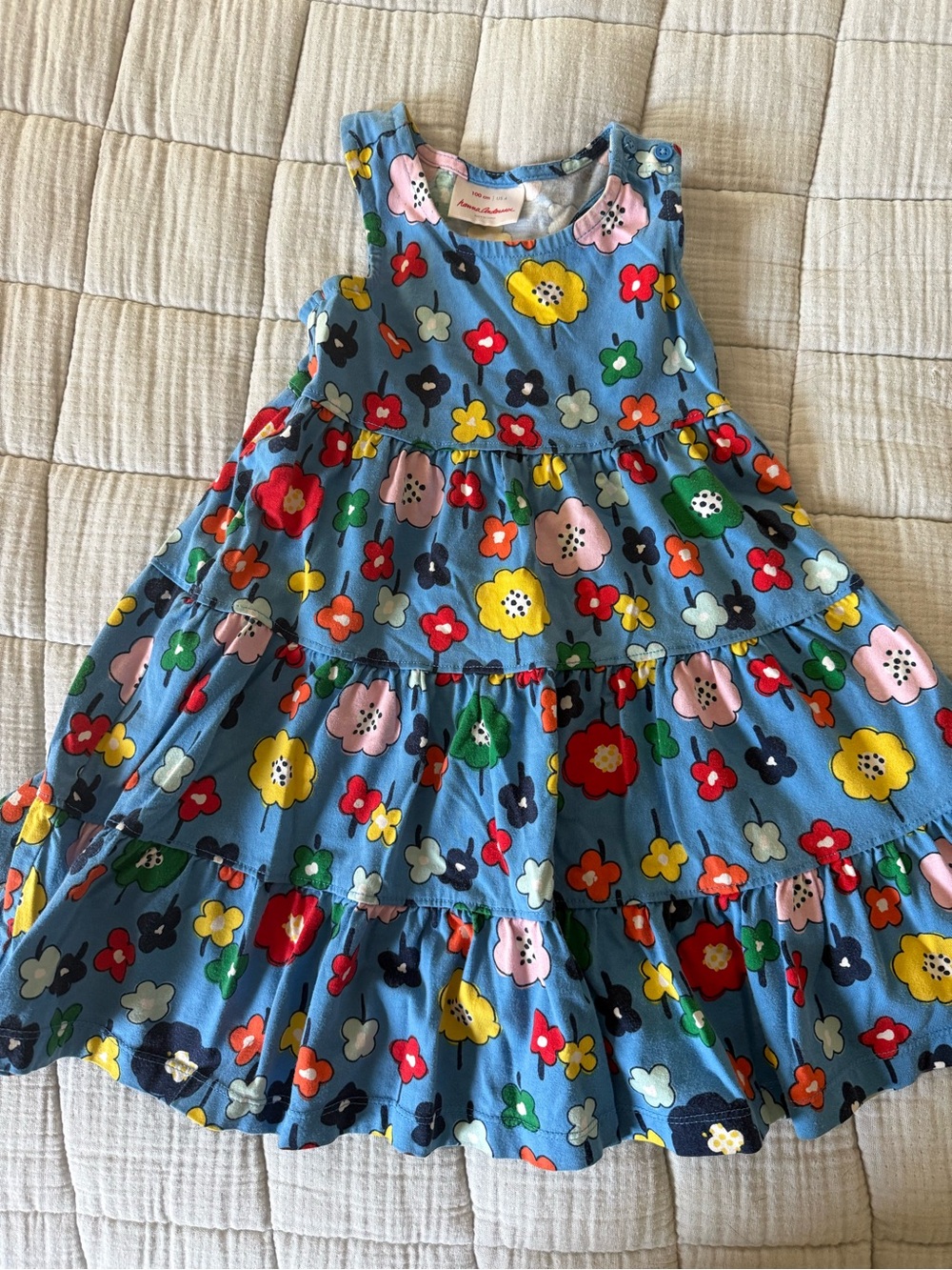 Hanna Andersson Blue Floral Ruffle Dress with Multi-Color Flowers